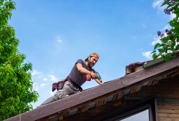 Fast & Reliable Emergency Roof Repairs in Manatee Road, FL